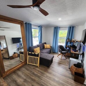 Smart TV, books, computer monitors, printers