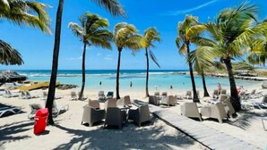 Une plage bordée de palmiers, avec des chaises longues et un ciel d’un bleu limpide.