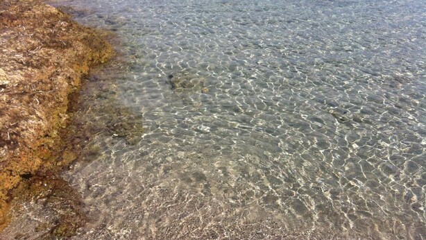 A clear view of a rocky shoreline with shallow water. - The magical though (Puglia)