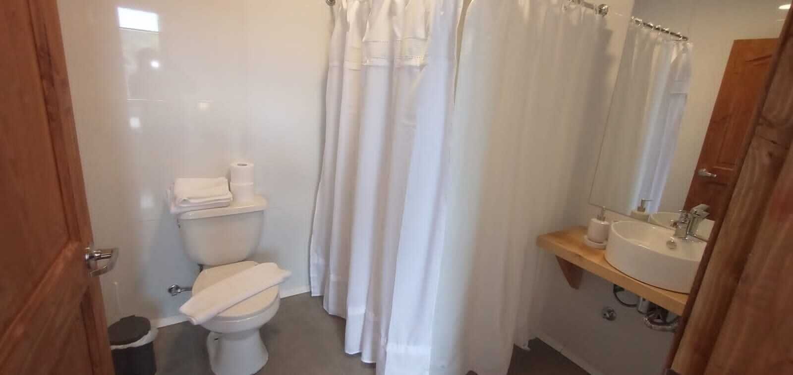 A bathroom with a toilet, a sink, a mirror, and a shower curtain.