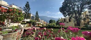Stroll through lush gardens surrounded by trees and modern homes.