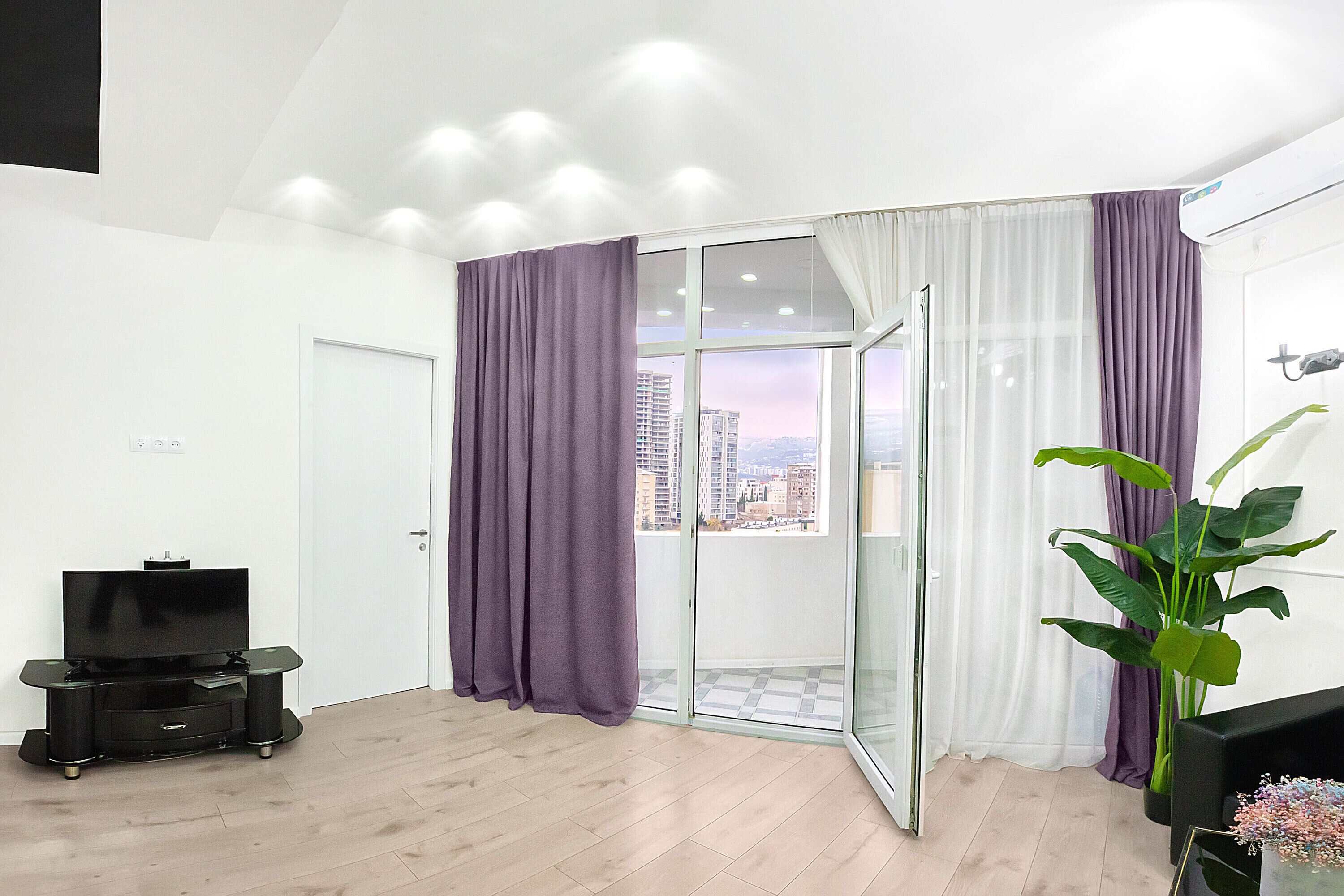 A modern living room with a flat-screen TV, a glass door leading to a balcony, and a large plant.