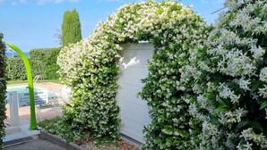 Un chemin menant à un mur blanc recouvert de fleurs blanches, entouré de verdure.