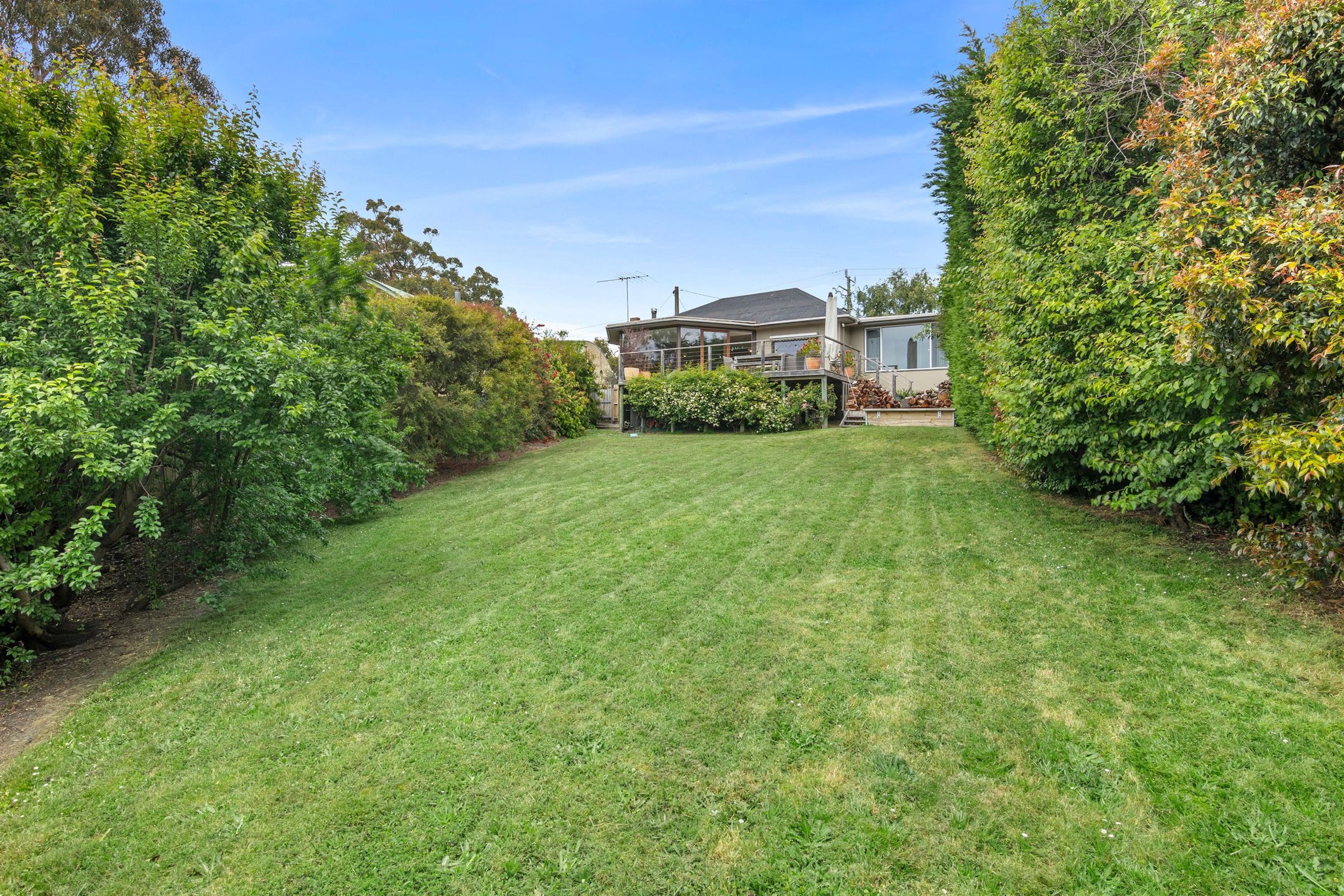 A well-maintained lawn with a house in the background.