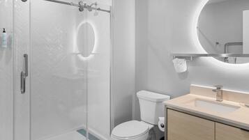 A modern bathroom with a glass shower enclosure, a toilet, and a sink with a mirror above it.