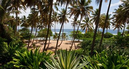 Ultra private Orchid Bay beachfront paradise -Weekly discounts