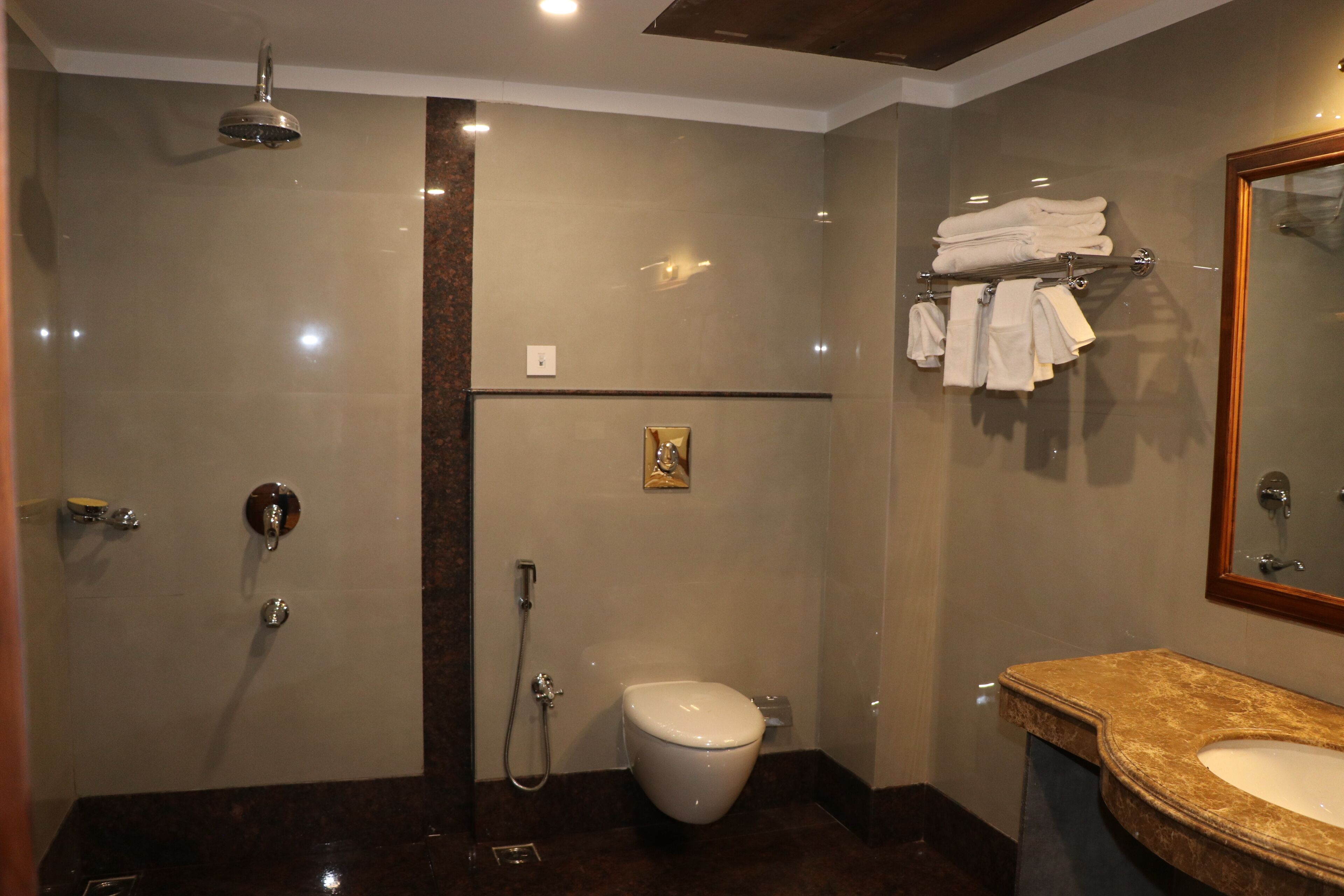Un bagno moderno con doccia, servizi igienici e lavandino.