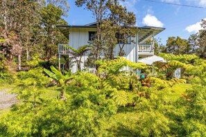 A white house with a balcony, surrounded by lush green ferns and trees.