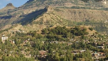 Vista desde la propiedad