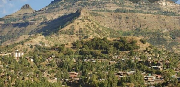 Vista desde la propiedad