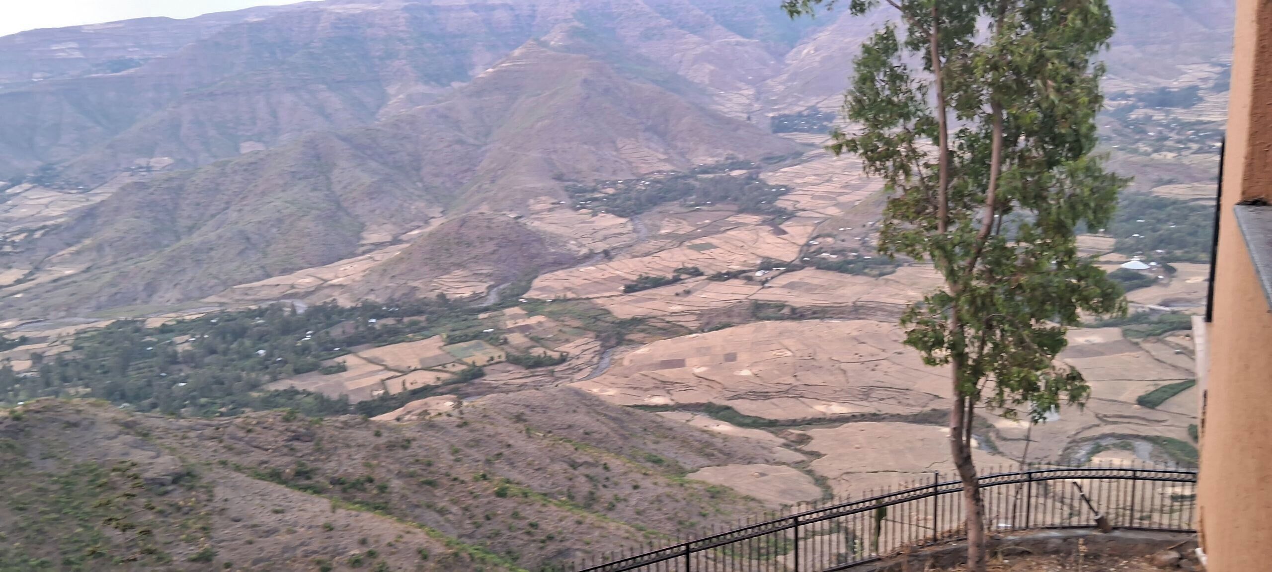 Desk, iron/ironing board, free WiFi