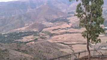 Desk, iron/ironing board, free WiFi