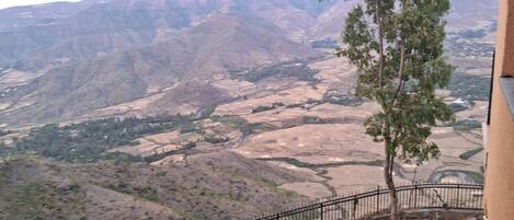 Desk, iron/ironing board, free WiFi