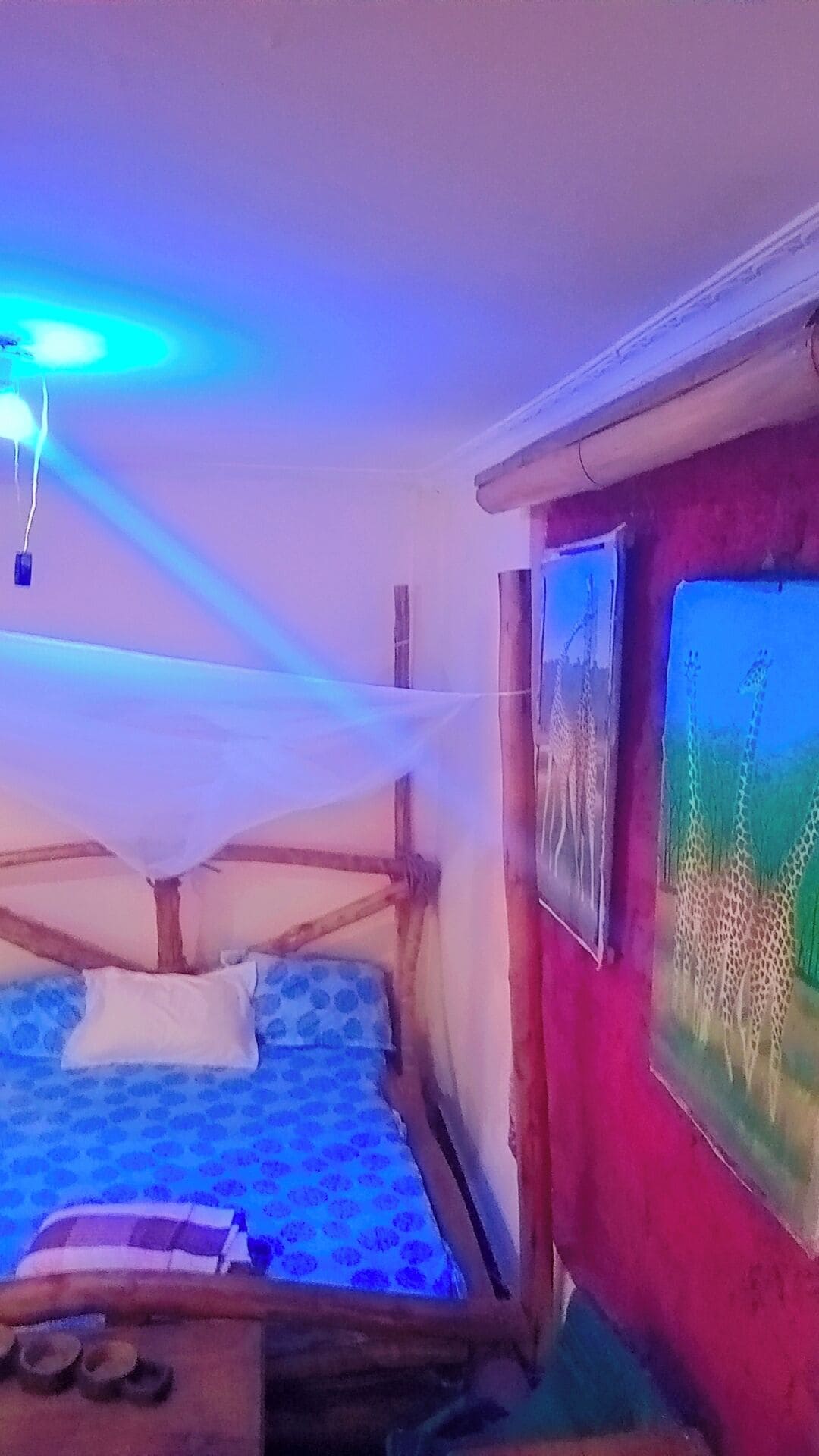 مكتب وواي فاي مجانًا