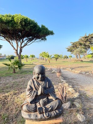 Garden - Villa Pinos Zahora - Beach Front Pine Trees (Vejer de la Frontera)