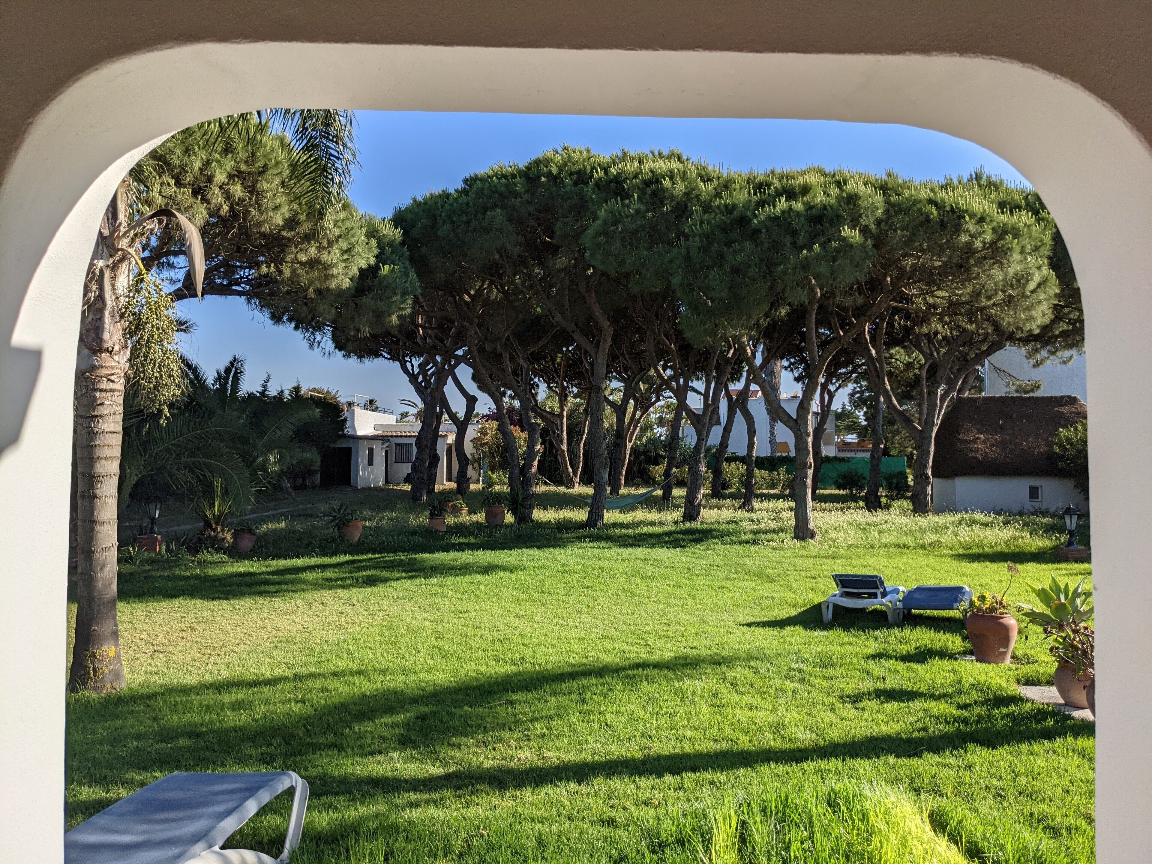 إطلالة على الحديقة