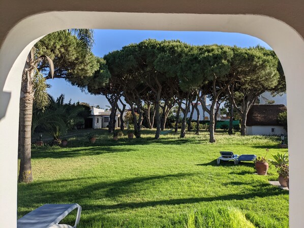 Villa | Garden view - Villa Pinos Zahora - Beach Front Pine Trees (Vejer de la Frontera)