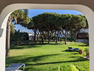 Villa Pinos Zahora - Beach Front Pine Trees