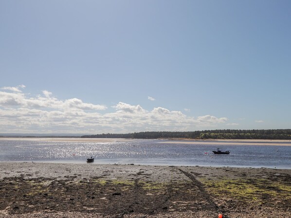 A beach with a boat on the water and a forest in the background.