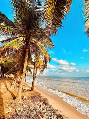 Playa en los alrededores
