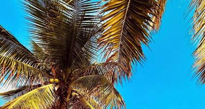 Praia & Poesia - Manaíra