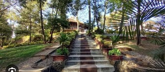 Ghion hotel Guest house