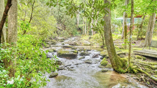 Un arroyo natural rodeado de árboles y vegetación.