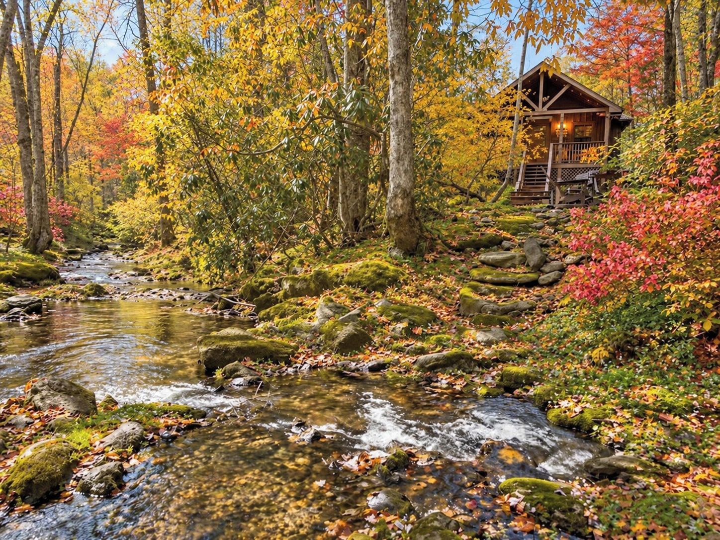 A cabin surrounded by a forest with a stream.