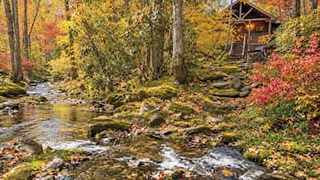A cabin surrounded by a forest with a stream.