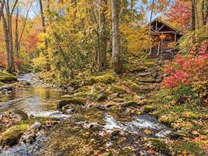 A cabin surrounded by a forest with a stream.