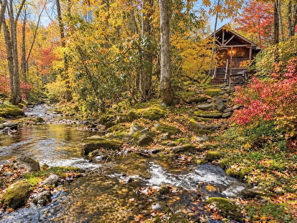 A cabin surrounded by a forest with a stream.