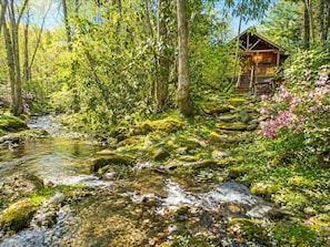 Une cabane dans une forêt, près d’un ruisseau.