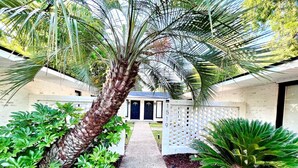 A pathway leading to a building with a white fence and a palm tree.