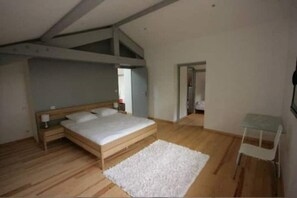 5 bedrooms, desk, travel cot, free WiFi - La Grange (Angresse)