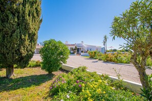 A house with a gravel driveway, surrounded by a garden with various plants and flowers.