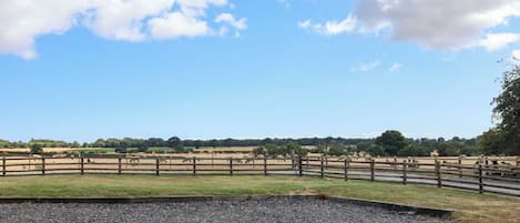 A fenced outdoor area with a gravel path, a wooden gate, and a clear sky.