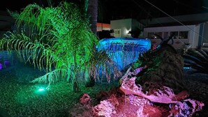Un espacio exterior nocturno con una formación rocosa, un árbol iluminado con luces verdes y una fuente de agua con iluminación azul.