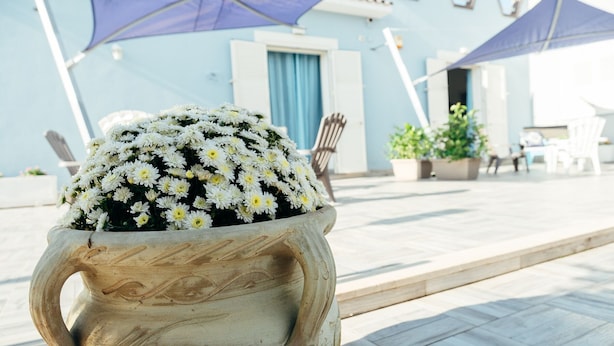 Una jardinera de piedra con flores blancas y amarillas frente a un edificio con puertas y ventanas azules.