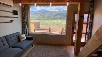 Smart TV, DVD player, books