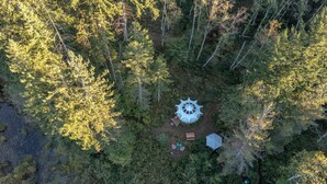 Vista aérea de una zona boscosa con una estructura circular rodeada de árboles.