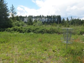 Ein Discgolf-Korb in einem grasbewachsen Feld, im Hintergrund Bäume.