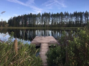 Une jetée en bois s’étendant sur un lac paisible, entouré d’une forêt dense.