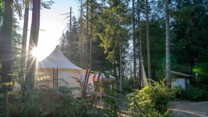 Ein Zelt im Wald, durch das Sonnenlicht zwischen den Bäumen scheint.
