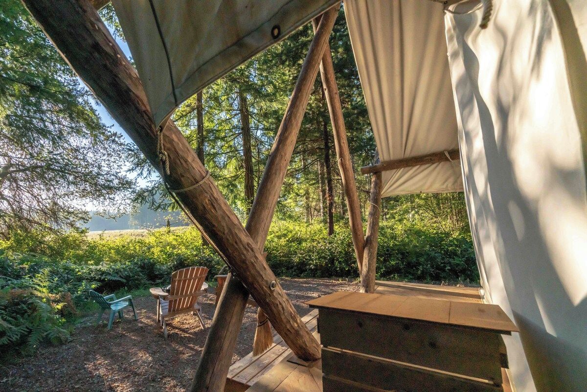 Une structure rustique en bois, dotée d’un espace de repos couvert et d’une table, le tout entouré d’une végétation luxuriante.