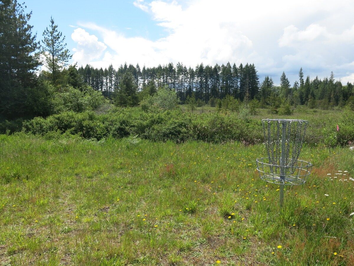 Un panier de disc golf dans un champ herbeux, avec des arbres en arrière-plan.