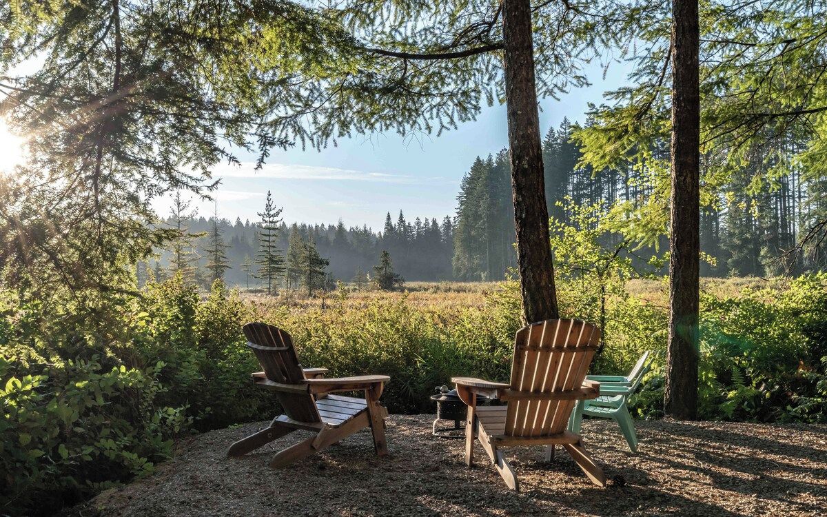 Dos sillas Adirondack de madera mirando hacia un área boscosa con vista a un bosque distante.