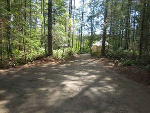 A forested area with a paved path leading to a tent-like structure.