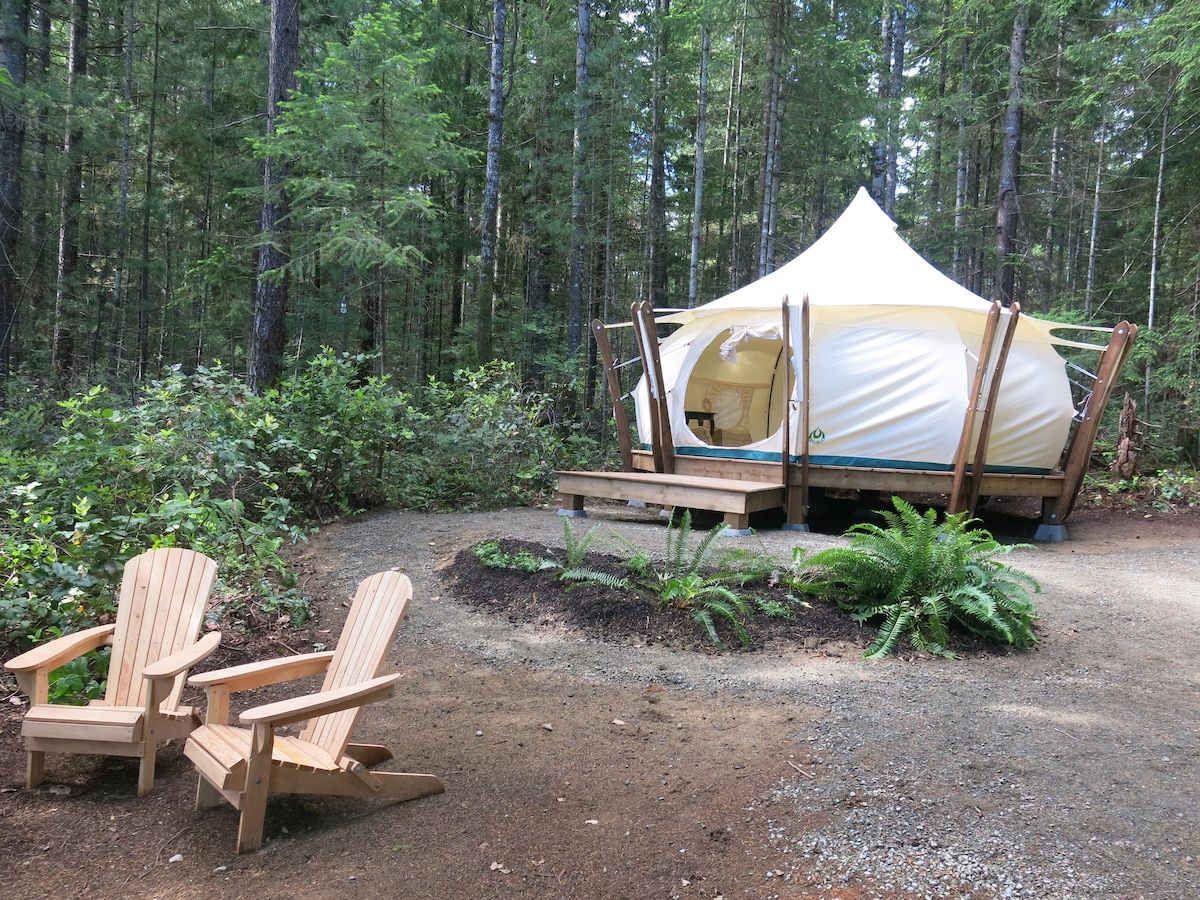 Una tenda montata in una zona boschiva con due poltrone Adirondack nelle vicinanze.