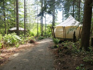 A forested campsite with a tent and a dirt path. - White Pine Glamping Site (Merville)