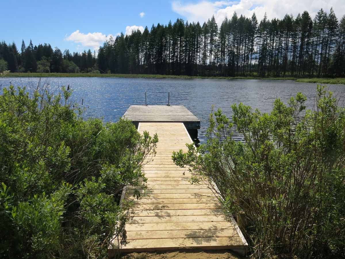 Un molo di legno che si protende in un lago circondato da una fitta foresta.